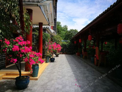 2021 08 15 崇州市街子鄉(xiāng)情苑農(nóng)家樂(lè)地址,崇州市街子鄉(xiāng)情苑農(nóng)家樂(lè)電話,崇州市街子鄉(xiāng)情苑農(nóng)家樂(lè)圖片 360地圖