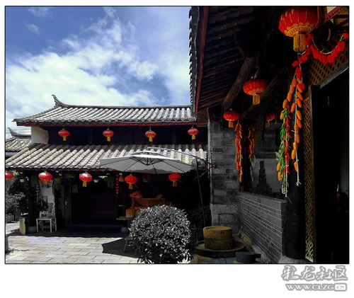 農(nóng)家樂(lè)