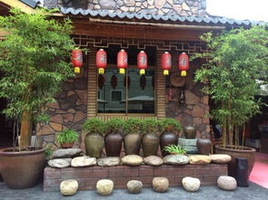 周娟 辭去事業(yè)單位工作創(chuàng)建農(nóng)家樂(lè),收入數(shù)十萬(wàn)