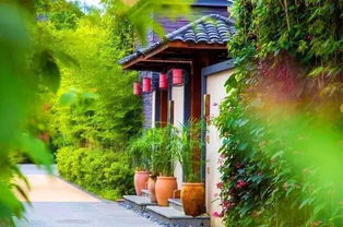 在農村 農家樂 日漸衰落,卻悄然興起4種新模式,收益也很可觀