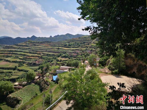 蘭州近郊村落撂荒地辟致富新源 探 智匯游 呈深閨特產