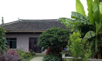 圖 美蘭湖附近農家樂 上海旅游