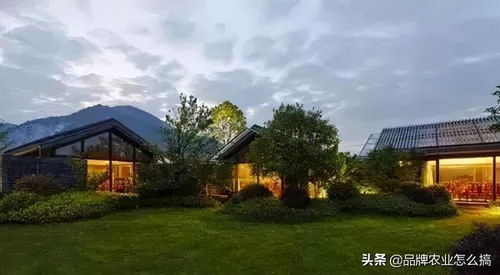 從 農(nóng)家樂 到 新型創(chuàng)意農(nóng)莊 ,鄉(xiāng)村產(chǎn)業(yè)升級(jí)的機(jī)遇來臨