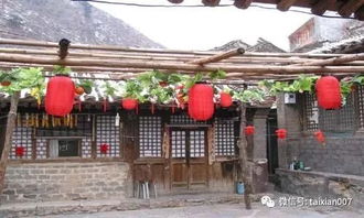 如果你在農(nóng)村有個(gè)院子 千萬不要荒廢了