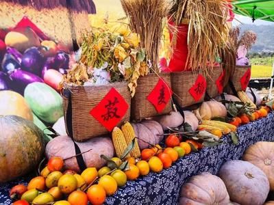 趕赴夏之約,來磐安尋找美食、音樂還有遠方的田野.