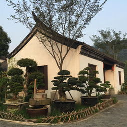 南通江海一鍋山村農(nóng)家樂攻略,江海一鍋山村農(nóng)家樂特色菜推薦 菜單 人均消費(fèi) 電話 地址 菜系 點(diǎn)評 營業(yè)時(shí)間