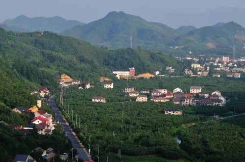 湖州兩地入選浙江首批民宿農(nóng)家樂改革試點(diǎn)，為鄉(xiāng)村振興注入新活力