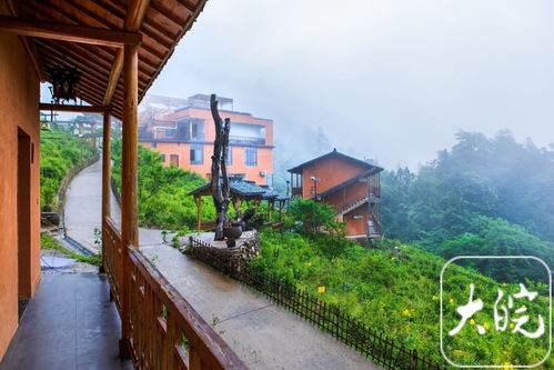 黃山造夢(mèng)農(nóng)家樂(lè) 山水田園間的詩(shī)意棲居