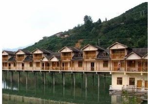 農(nóng)家樂(lè)緣何變“農(nóng)家哭”？——探究鄉(xiāng)村旅游模式背后的興衰邏輯