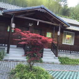 探尋山里香 安吉竹林深處的農家樂之旅